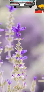 Purple floral phone wallpaper with blurred background.