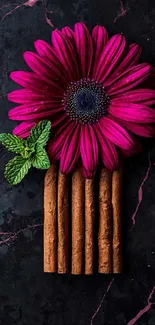 Pink daisy and cinnamon sticks on black background.