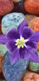 Vibrant purple flower on colorful stones wallpaper.