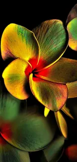 Vibrant yellow-green flowers on dark background, artistic mobile wallpaper.