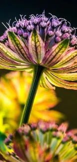 A vibrant, detailed floral wallpaper with colorful petals and lush green leaves.