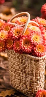 Basket of vibrant orange flowers on wooden background.