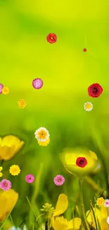 Colorful wildflowers against a bright green background, ideal for mobile screens.