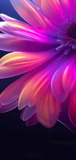 Vibrant purple and pink flower petals on a dark background.