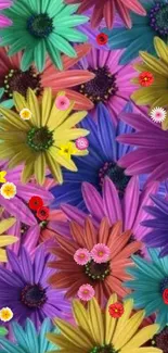 Colorful daisies on a vibrant phone wallpaper.