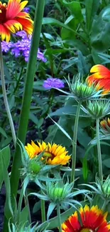 Vibrant flowers in a lush green garden setting mobile wallpaper.