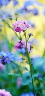 Vibrant blue and pink floral wallpaper with a serene nature backdrop.