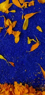 Bright orange petals on a deep blue background, creating a vibrant floral pattern.