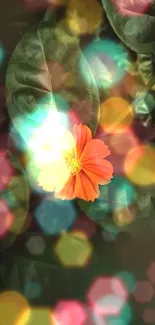 Orange flower with vibrant bokeh effect on leaves background.