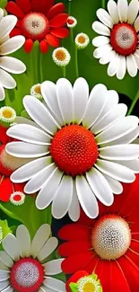 Vibrant red and white daisy floral wallpaper with green background.