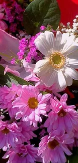 Vibrant mobile wallpaper of pink and white flowers with green leaves.