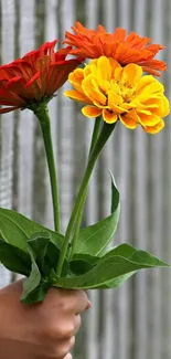 Hand holding a bouquet of red, orange, and yellow flowers against wooden background.