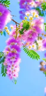 Floral branch with pink flowers and blue sky background.