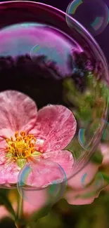 Pink flower encased in a colorful bubble with a dark backdrop.