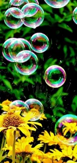 Colorful bubbles over yellow flowers on a green background.