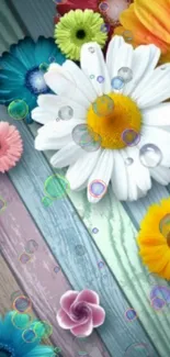 Colorful floral wallpaper with daisies and bubbles.