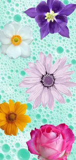 Colorful flowers on turquoise bubbly background mobile wallpaper.