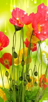 Vibrant poppy flowers against a green background with bright sunlight.