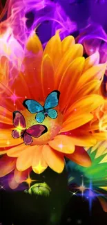 Vibrant orange flower with colorful butterflies on a dark background.