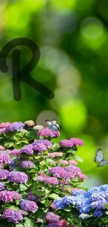 Vibrant flowers with butterflies in lush green background.