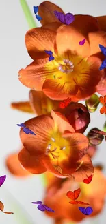 Orange flowers with colorful butterflies fluttering around.