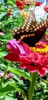 Butterfly perched on vibrant flowers, creating a colorful garden scene.