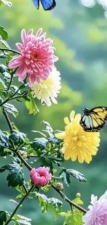 Colorful flowers with butterflies in nature.