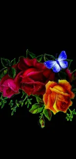 Vibrant roses and blue butterflies on a dark background mobile wallpaper.