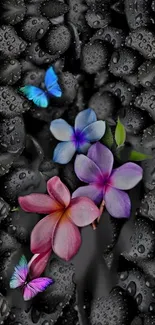 Vibrant flowers and butterflies against a dark textured background.