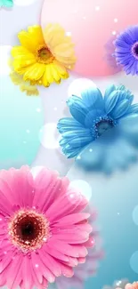 Colorful mobile wallpaper with vibrant daisies on a light blue background.