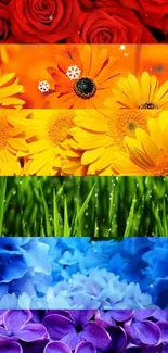 Vibrant stripes of colorful flowers including red, orange, yellow, green, blue, and purple.