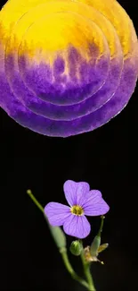 Purple flower and cosmic sphere on dark background wallpaper.