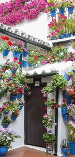 Vibrant courtyard with colorful potted flowers on white walls.