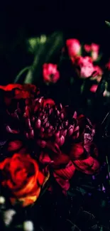 Vibrant red and orange flowers on dark background wallpaper.