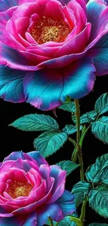 Vibrant pink and teal flowers on a black background.