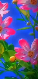 Pink flowers against a vivid blue background.
