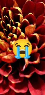 Crying emoji on a vibrant red flower.