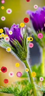 Purple flowers with colorful petals on a vibrant floral background.