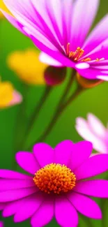 Pink and yellow flowers with green background.