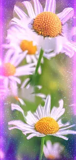 Vibrant daisy flowers with pink sparkle effect on a green background.