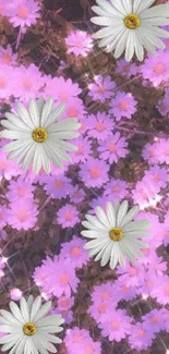 Mobile wallpaper with daisies over purple flowers.