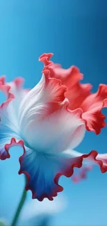 Vibrant red and blue flower wallpaper on mobile phone.