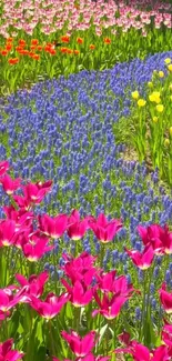 Vibrant mobile wallpaper of colorful tulips and flowers in a field.