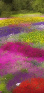 Vibrant and colorful floral field wallpaper showcasing various blooms.