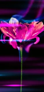 Vibrant pink flower surrounded by blue flames on a dark background.