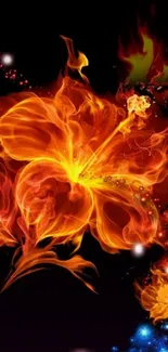 Fiery flower wallpaper with dark background.