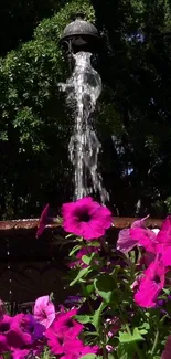 Vibrant pink flowers with fountain in lush garden setting.