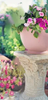 Vibrant garden with pink blossoms in a decorative pot.