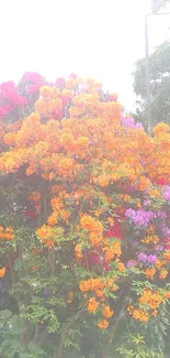 Vibrant garden with orange and purple blossoms.