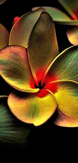 Vibrant plumeria flowers with olive green and red hues on a dark background.